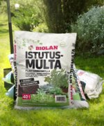 55542100_istutusmulta_02.jpg 55542100_istutusmulta_02.jpg