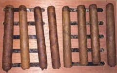 criollo_columbus1.jpg