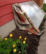 IMG_20170516_133049706~2.jpg
