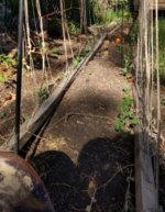 IMG_20170529_174843720_HDR~2.jpg IMG_20170529_174843720_HDR~2.jpg