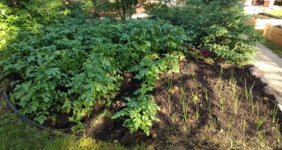 IMG_20170615_073222176~2.jpg
