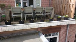 IMG_20170616_103233011.jpg