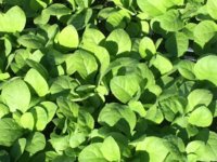 19399526_10154445672786104_5800912671793107811_n.jpg 19399526_10154445672786104_5800912671793107811_n.jpg