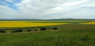 IMG_20170627_113154579~3.jpg
