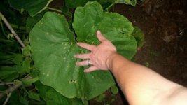 20170706_205300.jpg