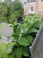 IMG-20170814-WA0015.jpg