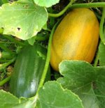 IMG_20170818_075346877~2.jpg