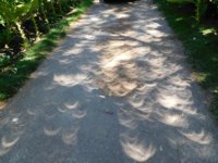 Eclipse 11.jpg