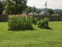 IMG_0123.jpg
