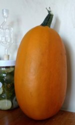 IMG_20170824_104929091~2.jpg