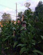 IMG_20170829_061903460~3.jpg