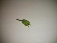 IMG_20170829_185752.jpg IMG_20170829_185752.jpg