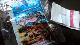 tobacco plant for sale uk Buy tobacco plant Nicotiana alata: £7.99 Delivery by Crocus tobacco plant for sale uk Buy tobacco plant Nicotiana alata: £7.99 Delivery by Crocus