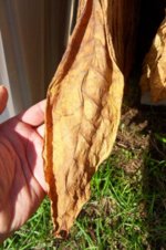 light_brown_OD_01.jpg light_brown_OD_01.jpg