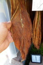 dark_brown_OD_03.jpg dark_brown_OD_03.jpg