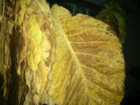 IMG_20170907_191259.jpg IMG_20170907_191259.jpg