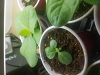 20171003_112020.jpg