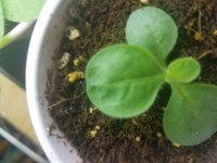 20171003_112028.jpg
