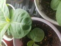 20171003_112041.jpg