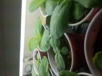20171003_112013.jpg