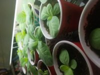 20171003_112002.jpg