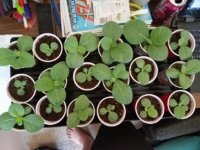 20171003_121751.jpg