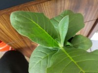 20171008_110320.jpg