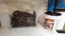20161128_210450.jpg