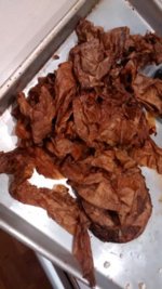 IMG_20171009_210536277.jpg