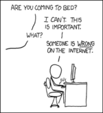 someone on the internet is wrong.png