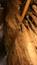 IMG_20171017_110146258~2.jpg