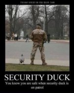 security duck.jpg