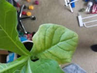 20171028_162600.jpg