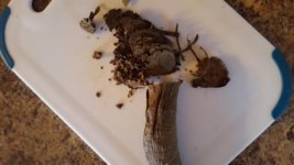 20171130_155310.jpg