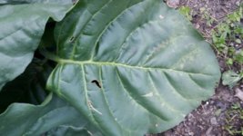 20180119_203817.jpg