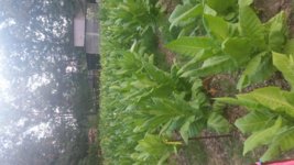 20170617_193736.jpg