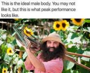 images.jpeg