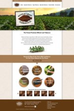 WLT Website Concept-FA2 (1).jpg