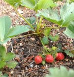 IMG_20180621_171659128~2.jpg
