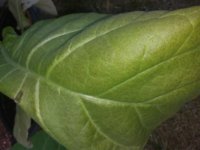 20180627_183054.jpg