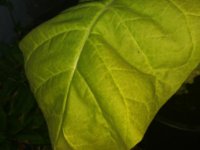 20180627_213144.jpg