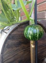 IMG_20180627_191142551~2.jpg