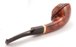 sokolik rhodesian (2).jpg
