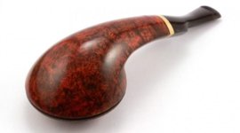 sokolik rhodesian 4.jpg
