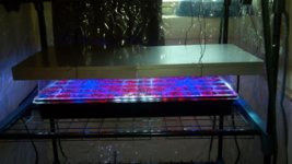 2013-03-03_16-04-03_590.jpg