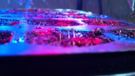 2013-03-07_16-08-17_438.jpg