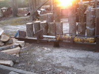 woodcutting 007.JPG