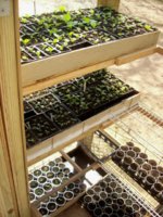 100_2295.jpg 100_2295.jpg