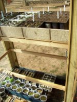 100_2296.jpg 100_2296.jpg