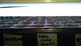 2013-03-23_10-17-30_542.jpg